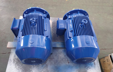 高低溫循環泵電機